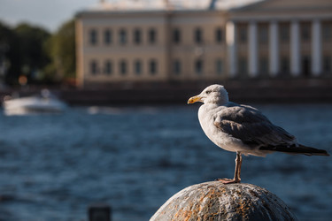 Similar image 22283959