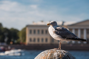 Similar image 22283960