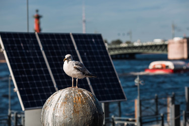 Similar image 22283961