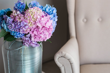 Similar image 22283968