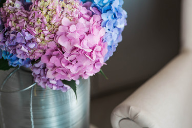 Similar image 22283969