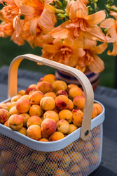 Similar image 22283979