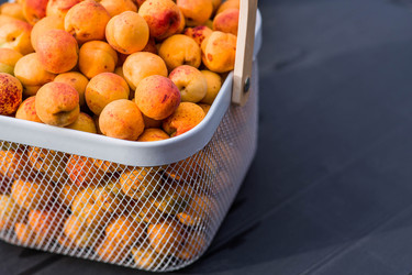 Similar image 22283980