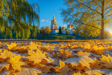 Similar image 22282750