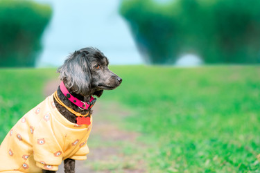 Similar image 22282751