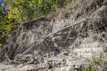 Similar image 22283391