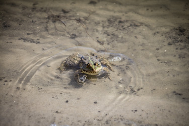 Similar image 22283392