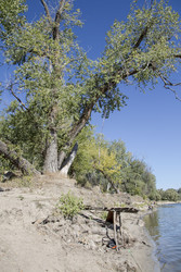 Similar image 22283393