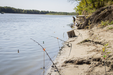 Similar image 22283395