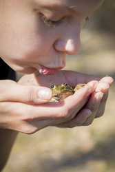 Similar image 22283397