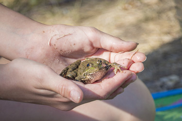 Similar image 22283398