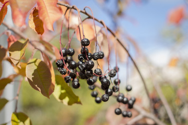 Similar image 22282752