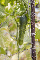 Similar image 22282754