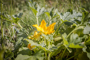 Similar image 22282755