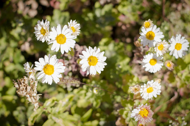 Similar image 22282756