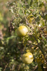 Similar image 22282757