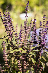 Similar image 22282758