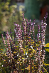 Similar image 22282759