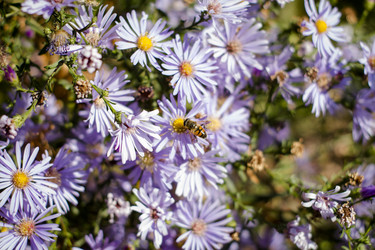 Similar image 22282760