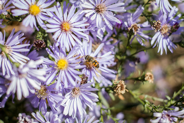 Similar image 22282761