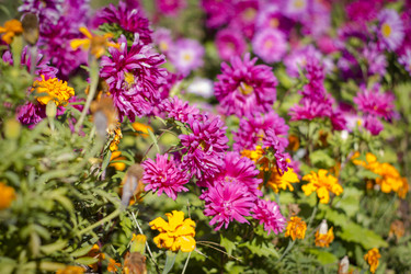 Similar image 22282762