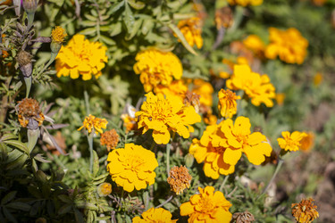 Similar image 22282763