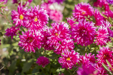 Similar image 22282764