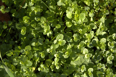 Similar image 22282768