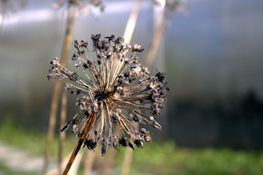 Similar image 22282769