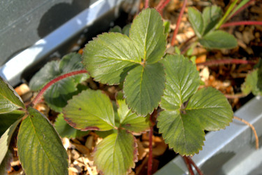 Similar image 22282770