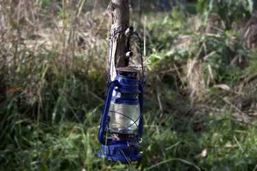 Similar image 22282771