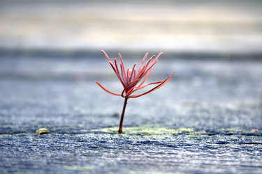 Similar image 22282774