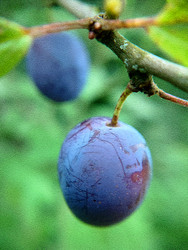 Similar image 22282786