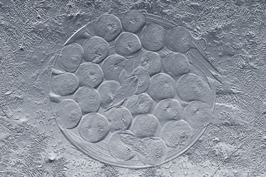 Similar image 22282787