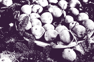 Similar image 22283566