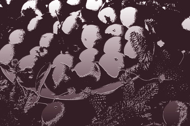 Similar image 22283567