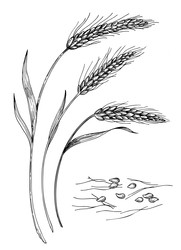 Similar image 22282790