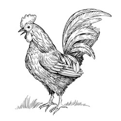 Similar image 22282791