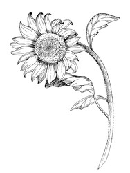 Similar image 22282794