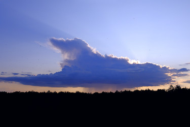 Similar image 22282804