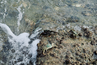 Similar image 22283301