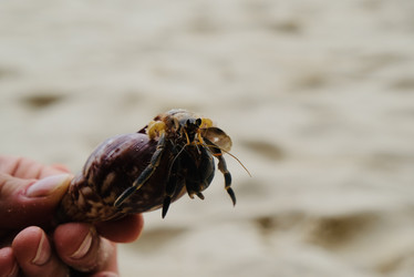 Similar image 22283302