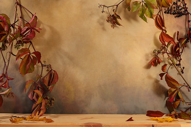 Similar image 22282827