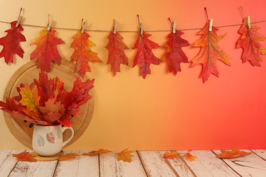 Similar image 22282828