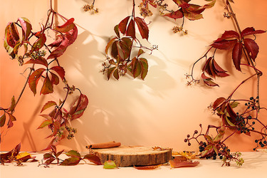 Similar image 22282834