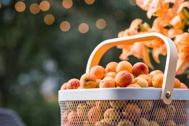 Similar image 22283982