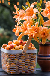 Similar image 22283984