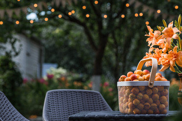 Similar image 22283986