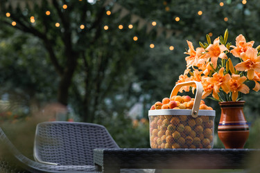 Similar image 22283988