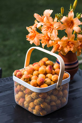 Similar image 22283990